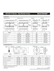 CAY16220J4 datasheet.datasheet_page 3