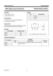 BSR30 datasheet.datasheet_page 2