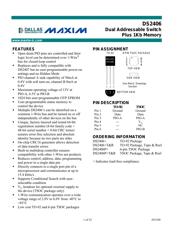 DS2406P+ datasheet.datasheet_page 1