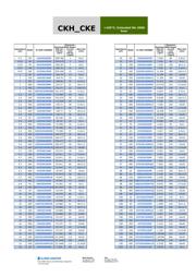 477CKH050MSA datasheet.datasheet_page 2