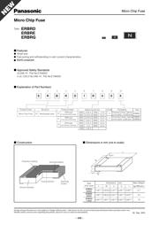 ERBRE2R00X datasheet.datasheet_page 1