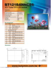 BT121BANNCB 数据规格书 1