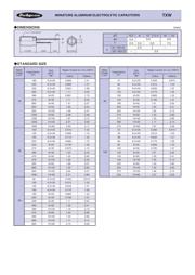 EEUEE2W470 数据规格书 2