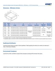 C1206C107M9PAC 7800 datasheet.datasheet_page 2