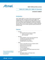 ATSAML21J18A-AUT datasheet.datasheet_page 1