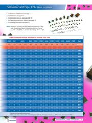 0603N101J101NTM datasheet.datasheet_page 2