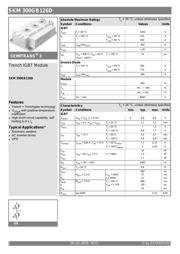 SKM 300GB126D 数据规格书 1