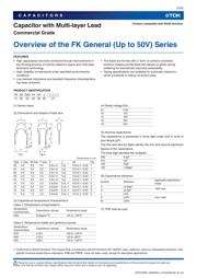 FK26X7R2E104KN006 datasheet.datasheet_page 2