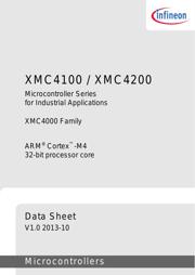 XMC4100-F64K128 AB 数据规格书 3