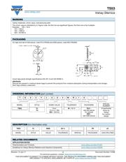 TS53YL104KR10 数据规格书 4