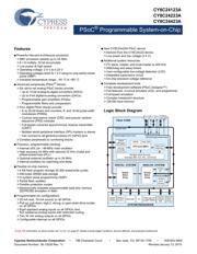 CY8C24123A-24PXI datasheet.datasheet_page 1