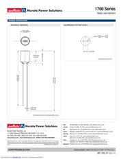 17155C datasheet.datasheet_page 2