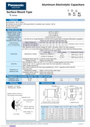 EEE1CA100SR 数据规格书 1