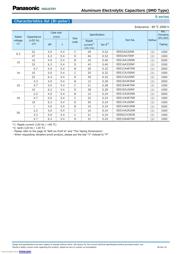 EEE1CA100SR 数据规格书 6
