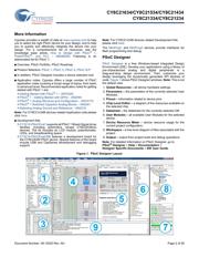 CY8C21334-24PVXI datasheet.datasheet_page 2