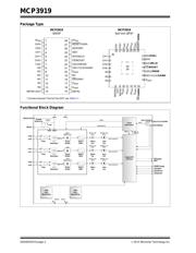 MCP3919A1-E/SS datasheet.datasheet_page 2