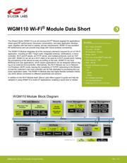 WGM110A1MV2R 数据规格书 1