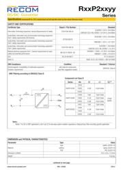 R12P22005D/P 数据规格书 5