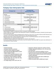 C1812W104KBRAC datasheet.datasheet_page 2