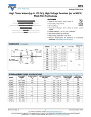 HTS91001002FKB23 datasheet.datasheet_page 1