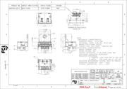 10029449-001RLF datasheet.datasheet_page 5