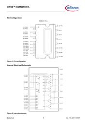 IGCM20F60HAXKMA1 数据规格书 4