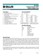 DS1020-100 datasheet.datasheet_page 1