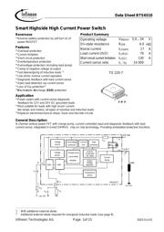 BTS6510B datasheet.datasheet_page 1