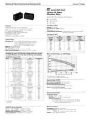 RT424024 datasheet.datasheet_page 2