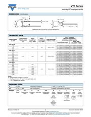 VY1222M47Y5UQ6BV0 datasheet.datasheet_page 2