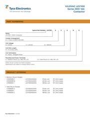 LEV100A4ANH datasheet.datasheet_page 2