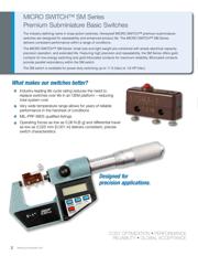 21SM284 datasheet.datasheet_page 2