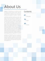 GD25Q127CBIGY datasheet.datasheet_page 2