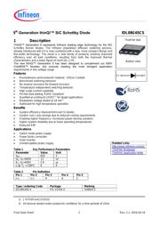 IDL08G65C5 datasheet.datasheet_page 2