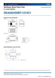 DEA202450BT-1213C1 数据规格书 2