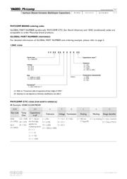 CA0612JRNPO9BN101 datasheet.datasheet_page 3