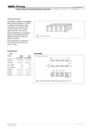 CA0612JRNPO9BN101 datasheet.datasheet_page 4