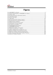 WIZ100SR datasheet.datasheet_page 5