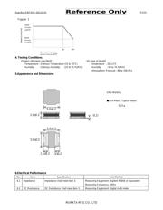 NFZ5BBW2R9LN10L datasheet.datasheet_page 2