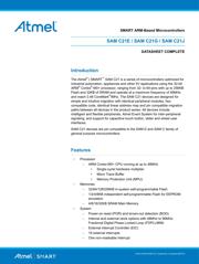 ATSAMC21E18A-ANT datasheet.datasheet_page 1