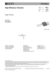 CS19-12HO1S-TUBE datasheet.datasheet_page 1