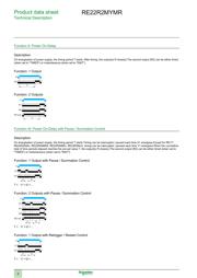 RE22R2MYMR datasheet.datasheet_page 6