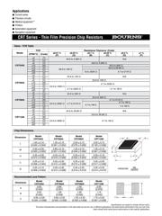 CPF0805B10KE1 datasheet.datasheet_page 2