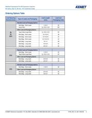 R413N310040M1K datasheet.datasheet_page 2