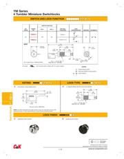 YM06132C205NQ datasheet.datasheet_page 2