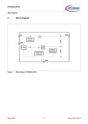 IFX30081LD V33 datasheet.datasheet_page 6