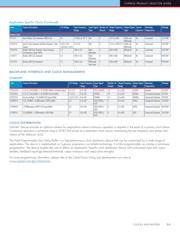 CY241V8ASXC-45 datasheet.datasheet_page 5