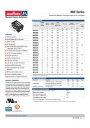 NKE0503S datasheet.datasheet_page 1