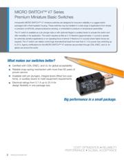 V7-6C17D8-263 datasheet.datasheet_page 2