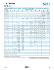 TBJE156K050LRSB0724 datasheet.datasheet_page 2